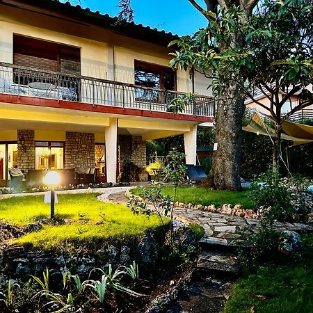 Villa Degli Ulivi 马萨马里蒂马 外观 照片