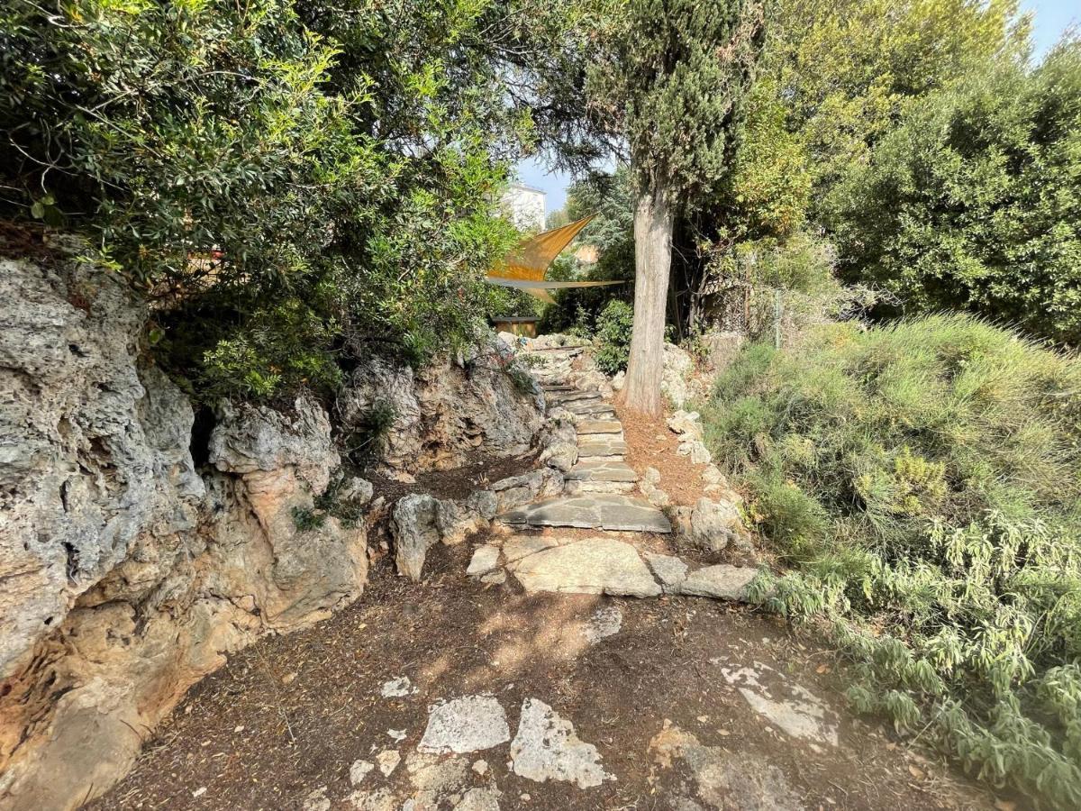 Villa Degli Ulivi 马萨马里蒂马 外观 照片