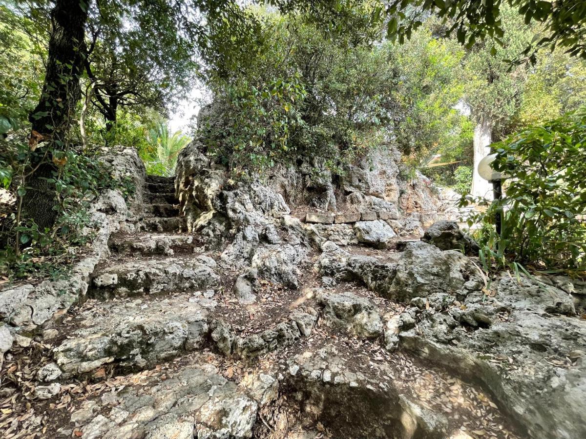 Villa Degli Ulivi 马萨马里蒂马 外观 照片