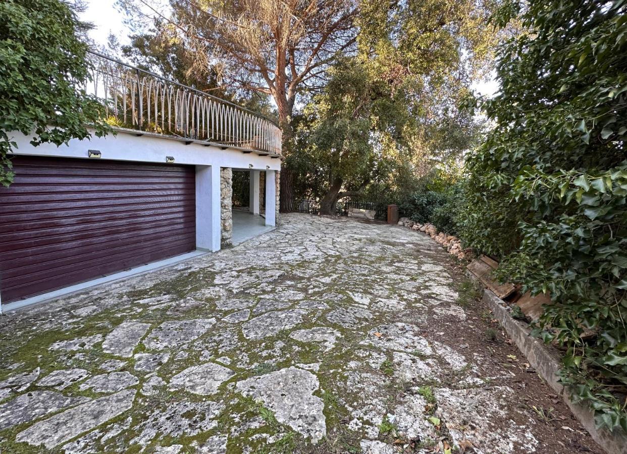 Villa Degli Ulivi 马萨马里蒂马 外观 照片
