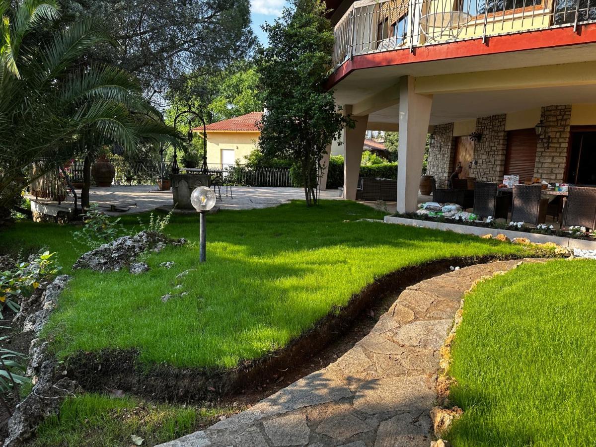 Villa Degli Ulivi 马萨马里蒂马 外观 照片
