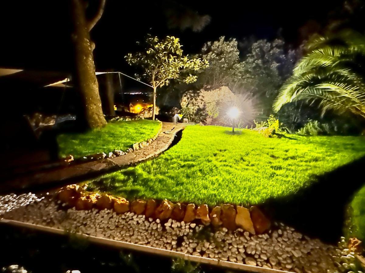 Villa Degli Ulivi 马萨马里蒂马 外观 照片
