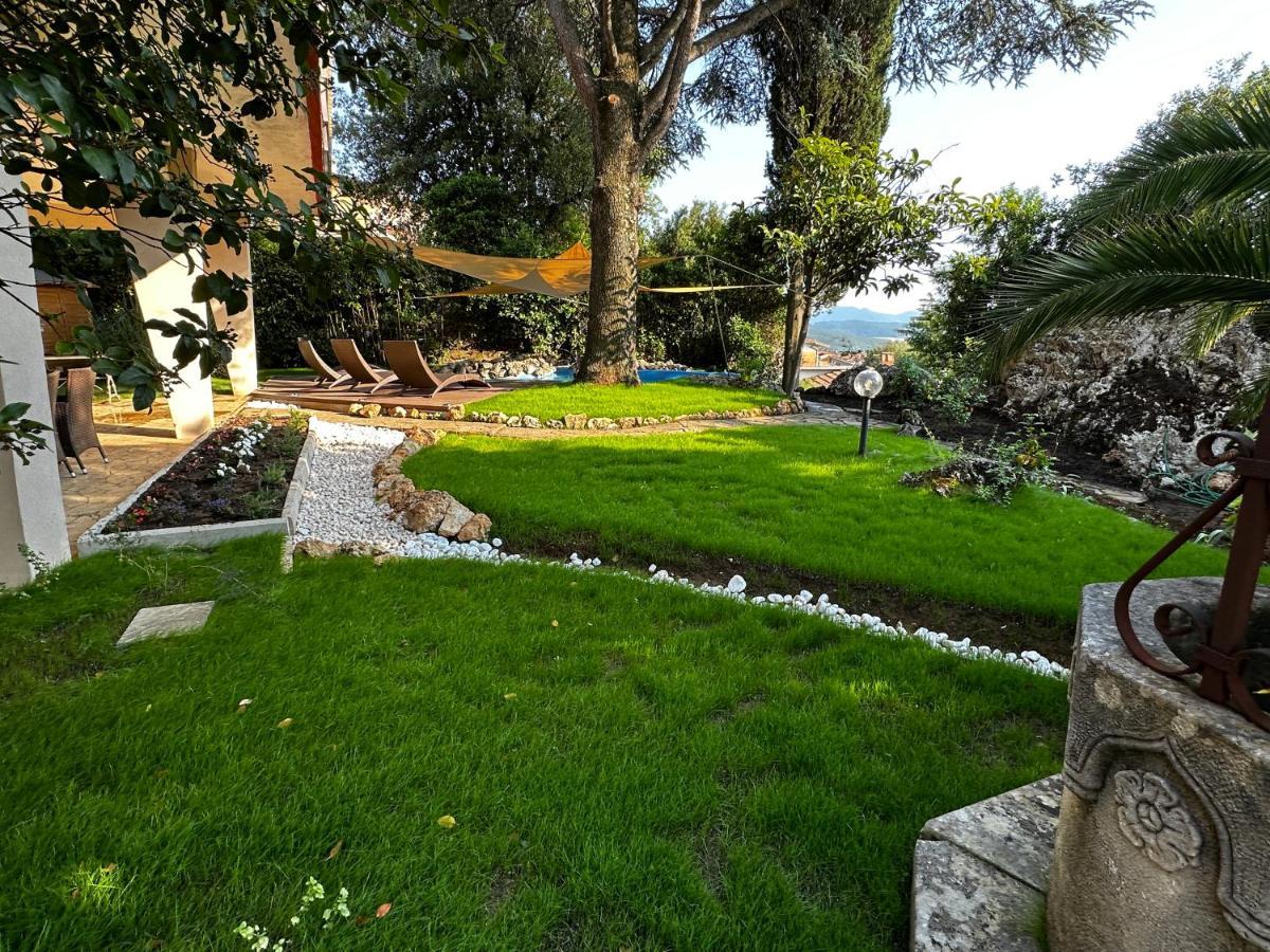 Villa Degli Ulivi 马萨马里蒂马 外观 照片