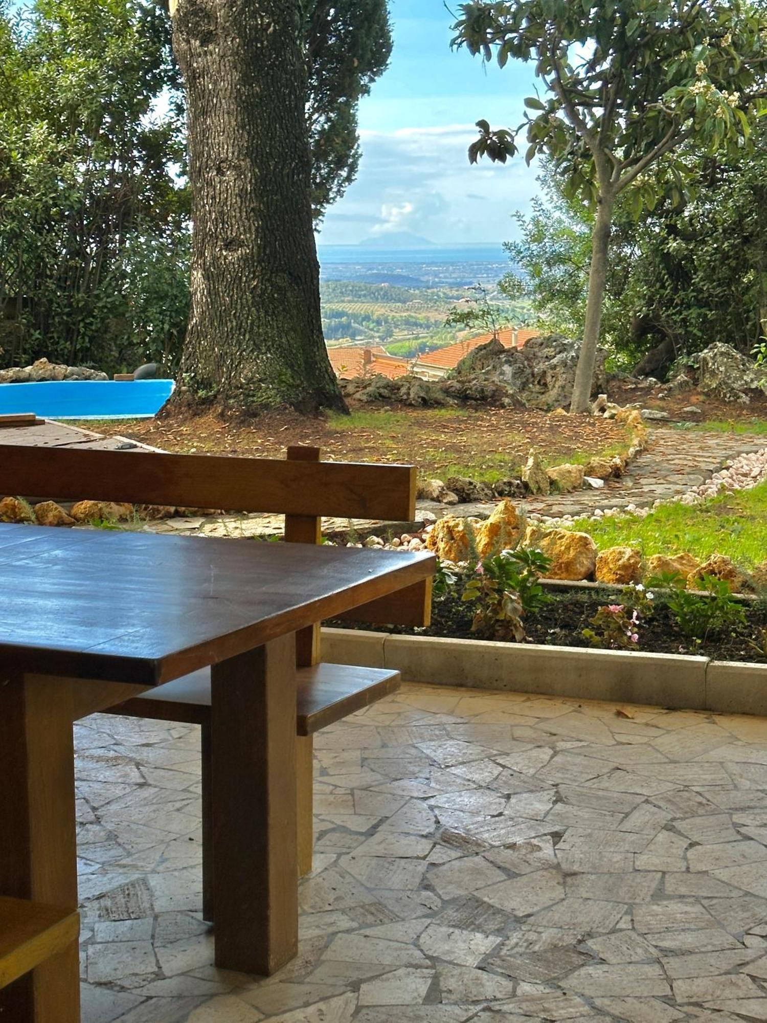Villa Degli Ulivi 马萨马里蒂马 外观 照片