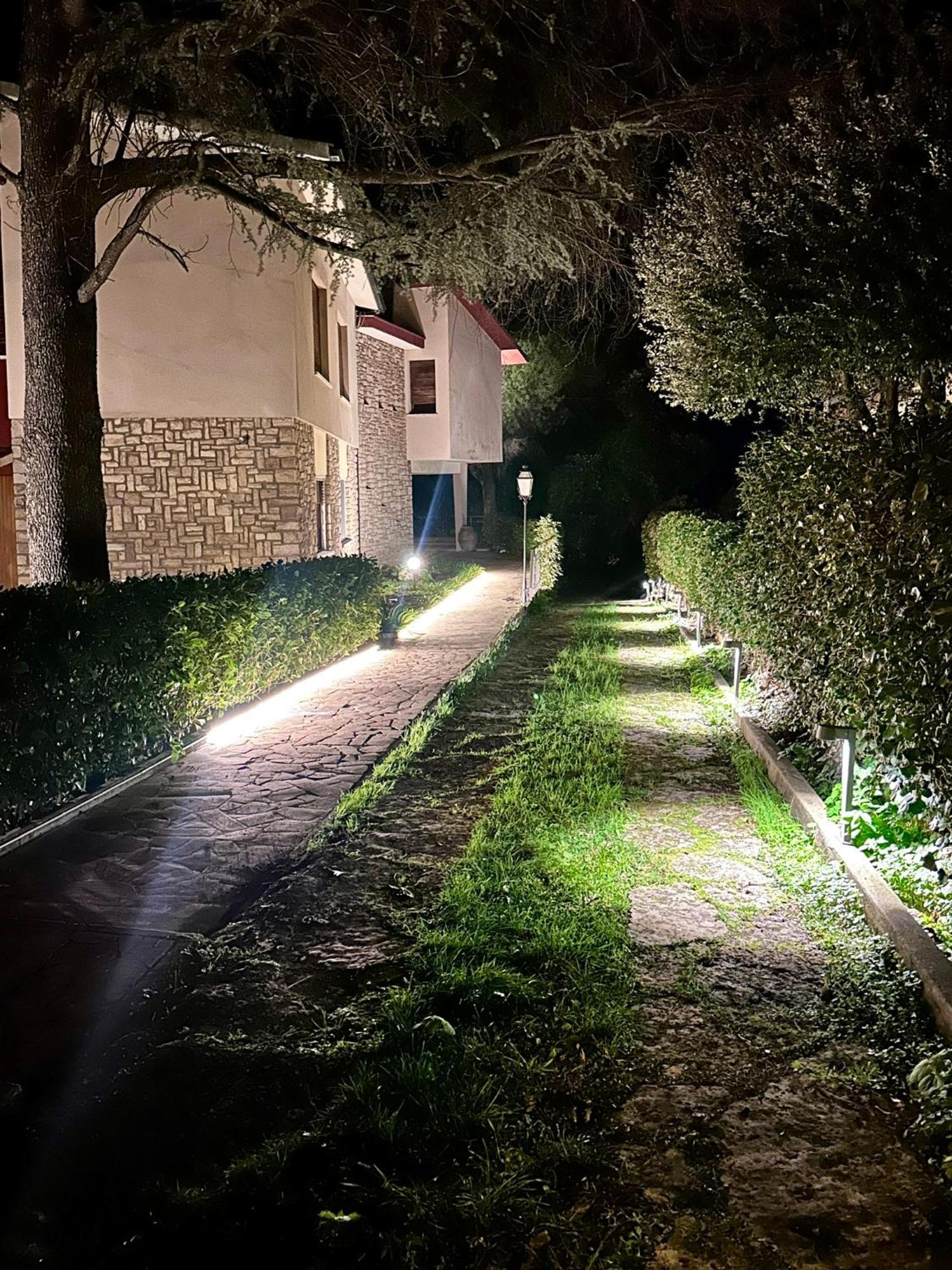 Villa Degli Ulivi 马萨马里蒂马 外观 照片